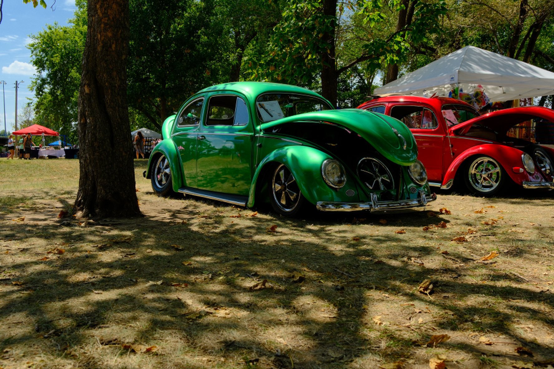The winning green Beetle in the shade on the 2026 show field