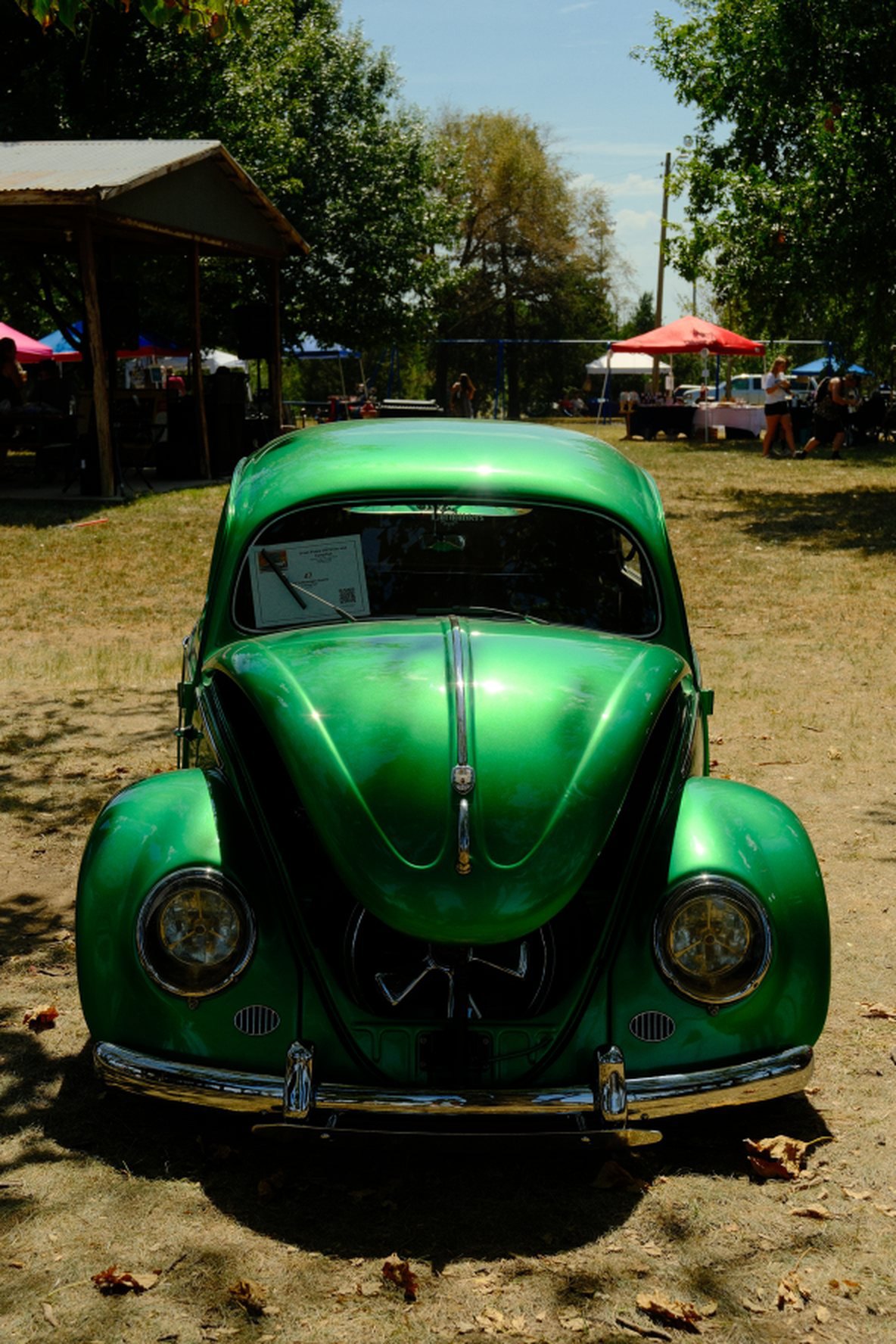 Head-on view of the winning green 1955 Beetle
